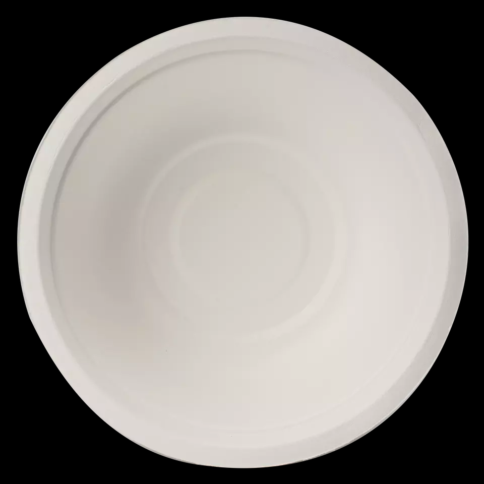Bagasse Tableware Manufacturer Far East & Geotegrity