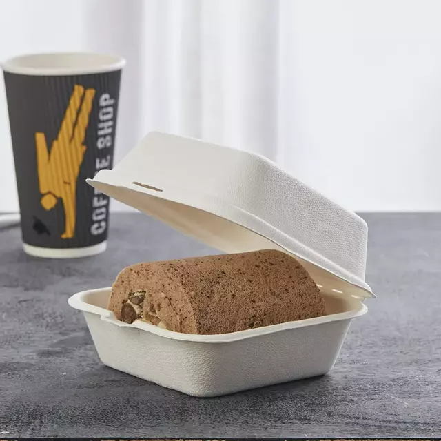 Bagasse Clamshell (6)